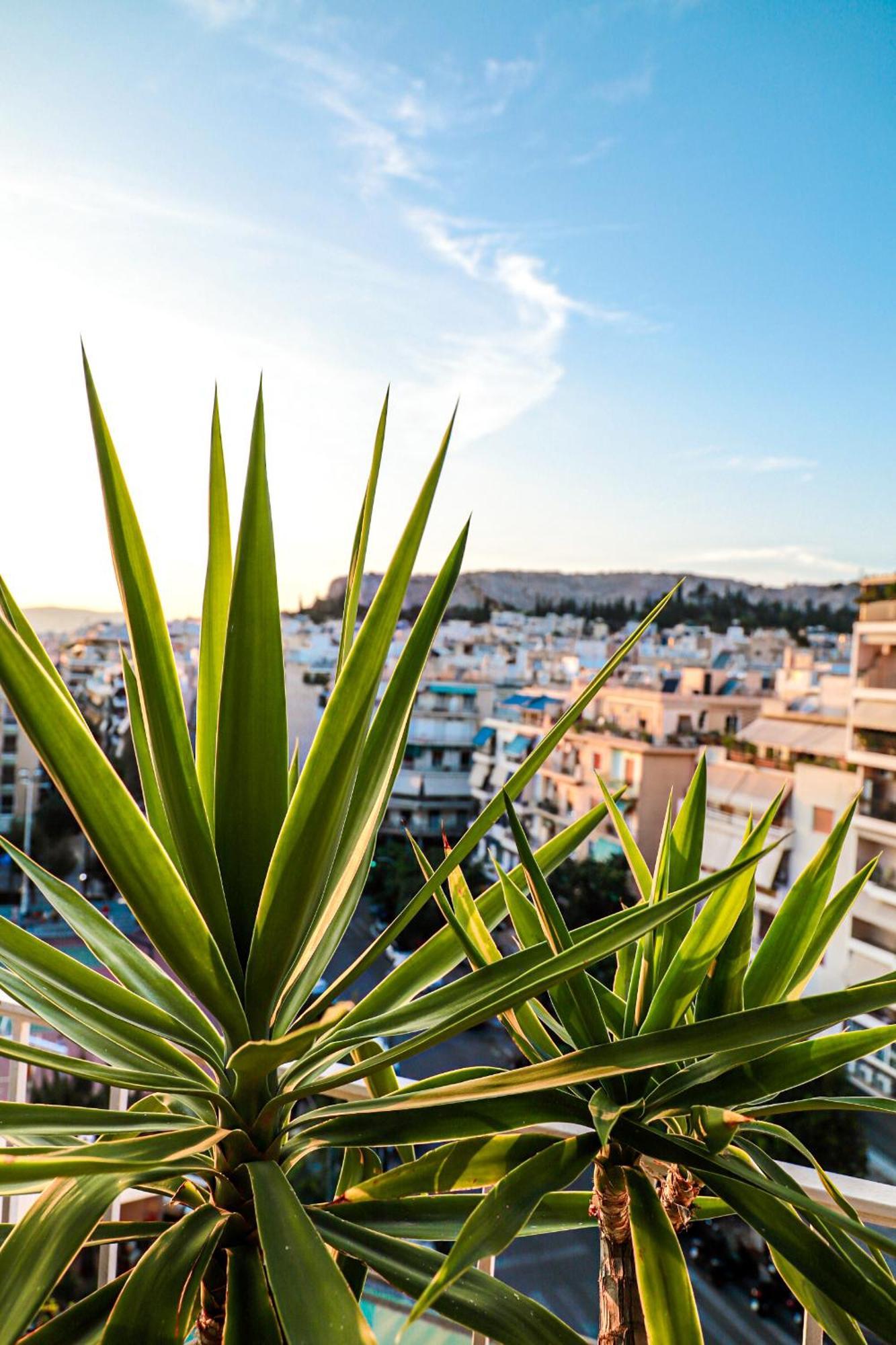 Renovated Apartment With Roof Garden Access, 15 M Walk To Acropolis Atenas Exterior foto