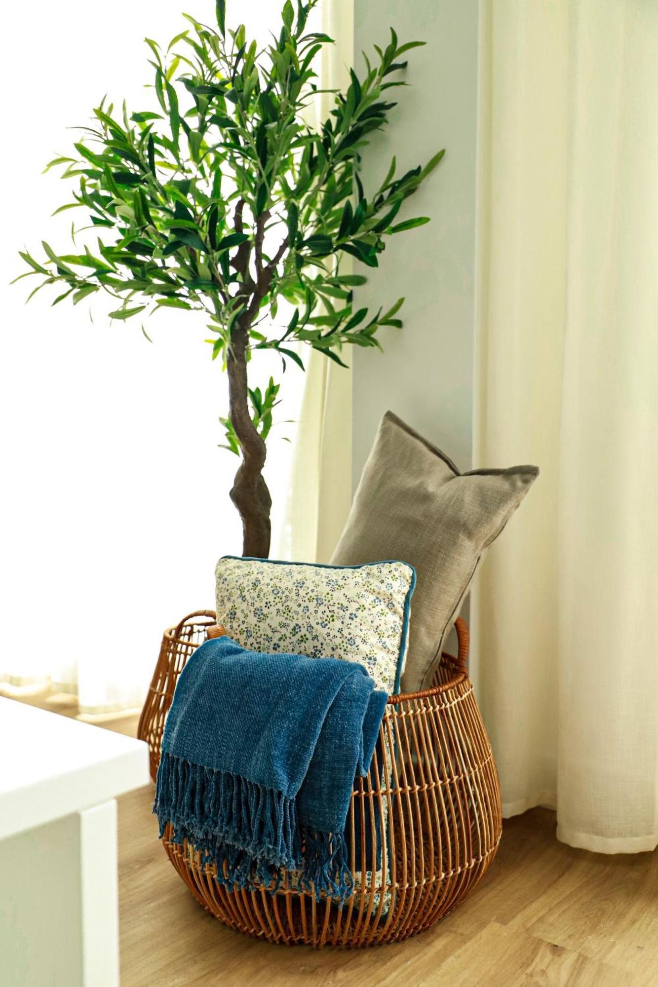 Renovated Apartment With Roof Garden Access, 15 M Walk To Acropolis Atenas Exterior foto